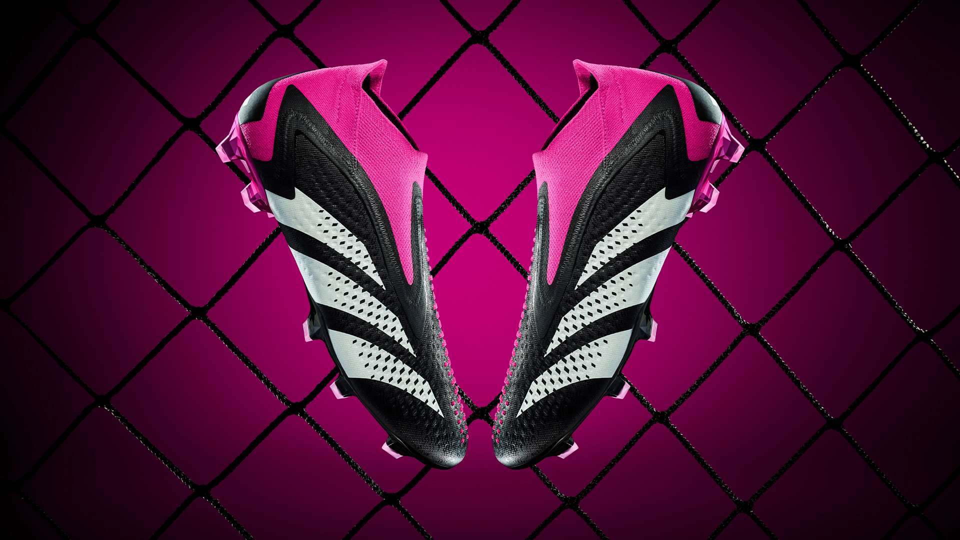 就致力于为 就致力于为