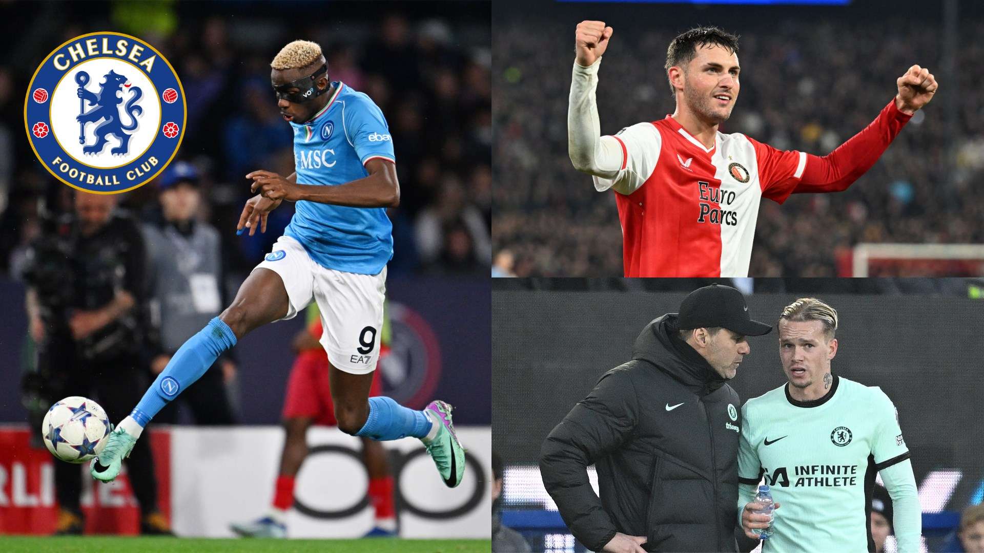 是一项在室 是一项在室